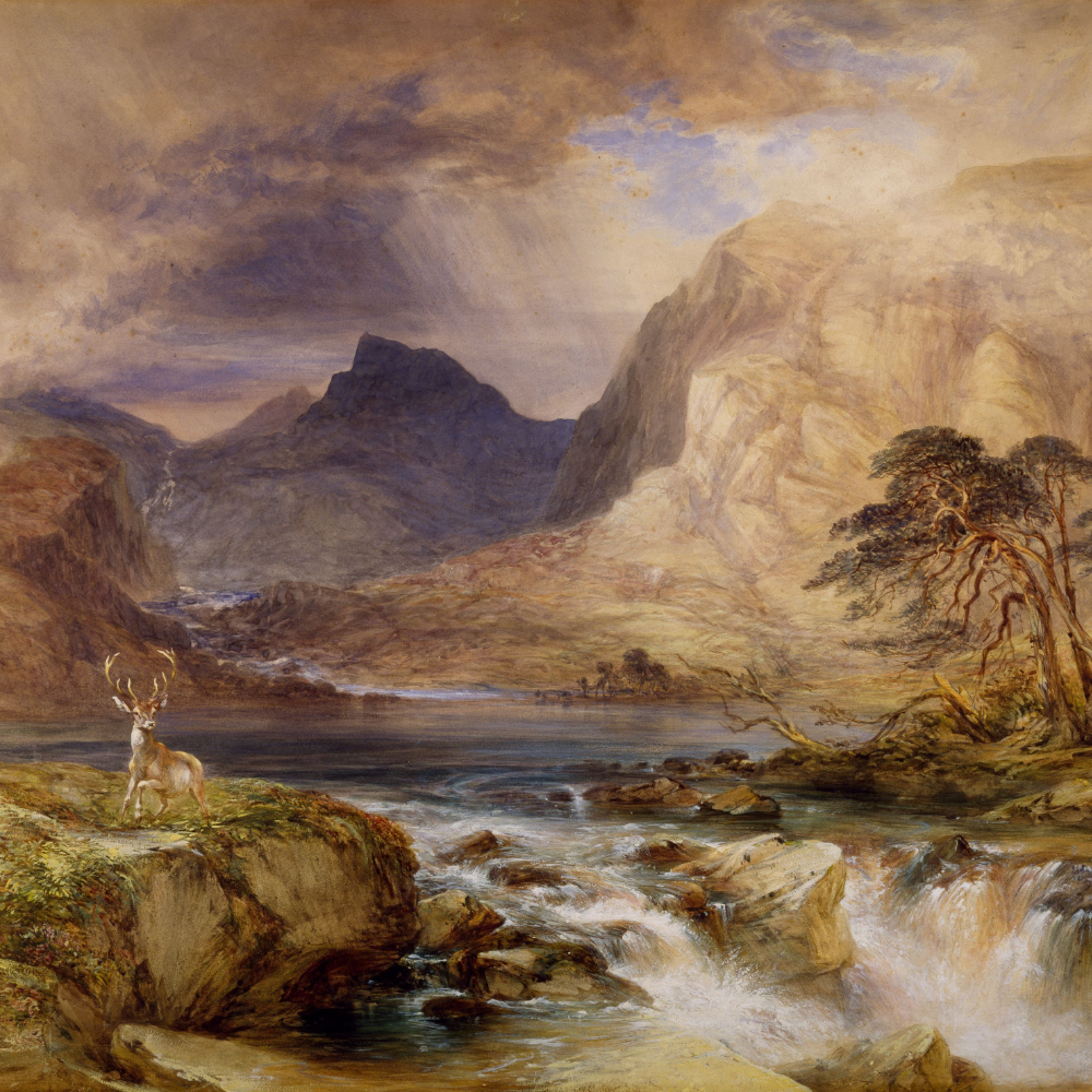 About Me freelance artist scenary 1